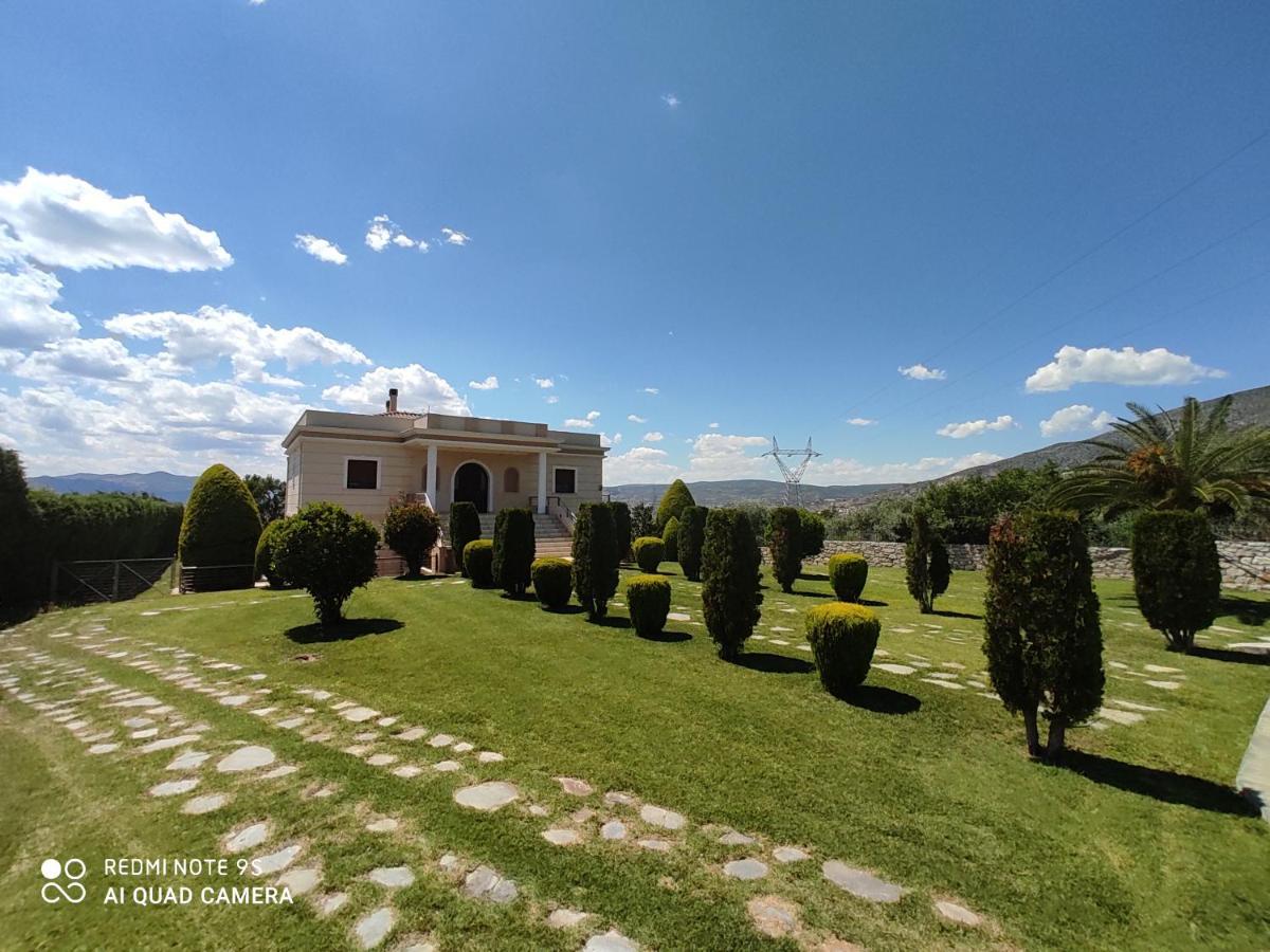 Luxury Villa Thea Wolos Zewnętrze zdjęcie