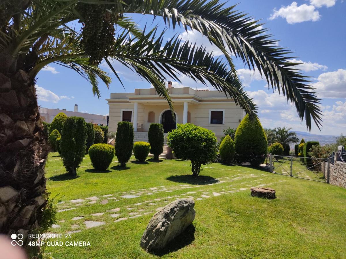 Luxury Villa Thea Wolos Zewnętrze zdjęcie